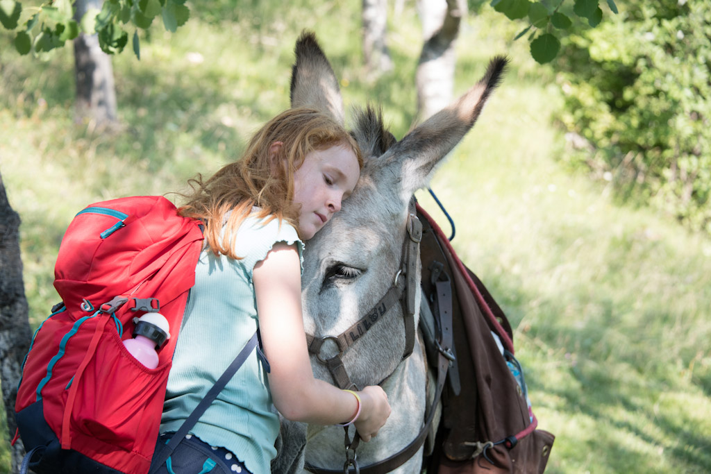 calin, tendresse et amitié entre une petite fille et son âne sur les chemins de randonnées.