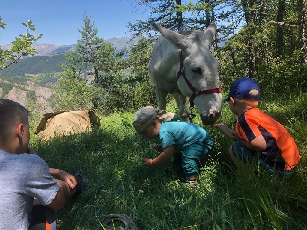 rando famille avec un âne Mercantour- itinerance trekking