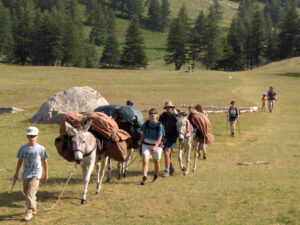 Caravane d'ânes et randonneurs en autonomie dans le Mercantour dans les Alpes du sud de la France