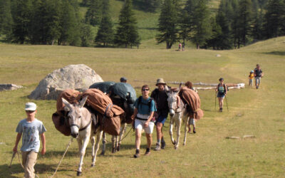 Caravane d'ânes et randonneurs en autonomie dans le Mercantour dans les Alpes du sud de la France