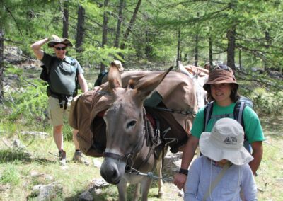 Randonneurs avec âne de bât en forêt dans les Alpes du Sud de la France