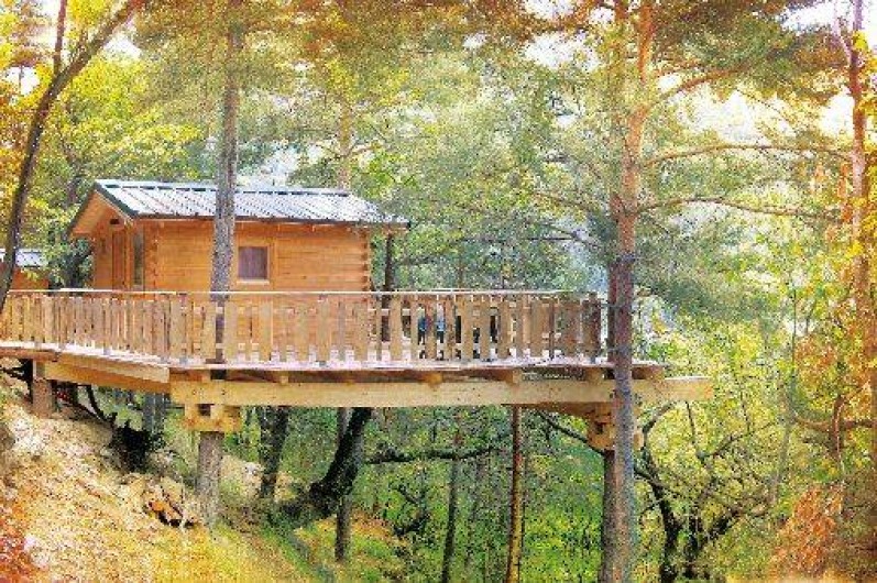 cabane dans les arbres mercantour