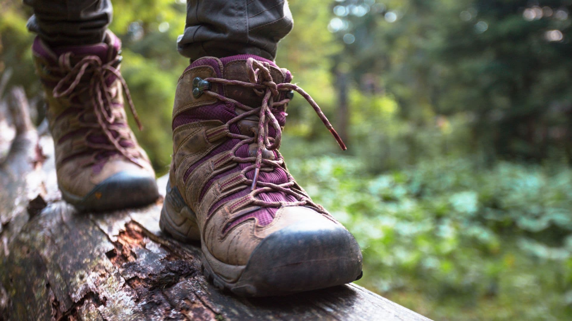 Quelles sont les meilleures chaussures de randonnée